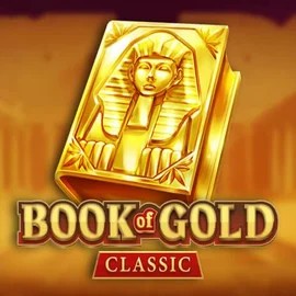 game logo by Playson on luckymeistercasino.eu